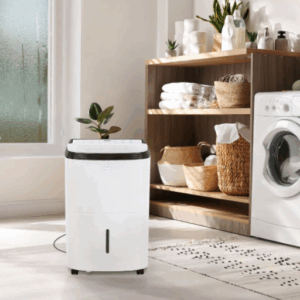 dehumidification solutions