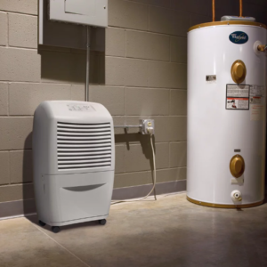 Are Dehumidifiers with Pumps Better for Basements?
