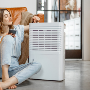 Are Energy Star Certified Dehumidifiers Worth It?