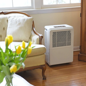 Is There Any Financial Benefit to Using an Efficient Dehumidifier?