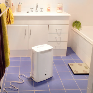 How to Manage Mold and Mildew in a Humid Bathroom?