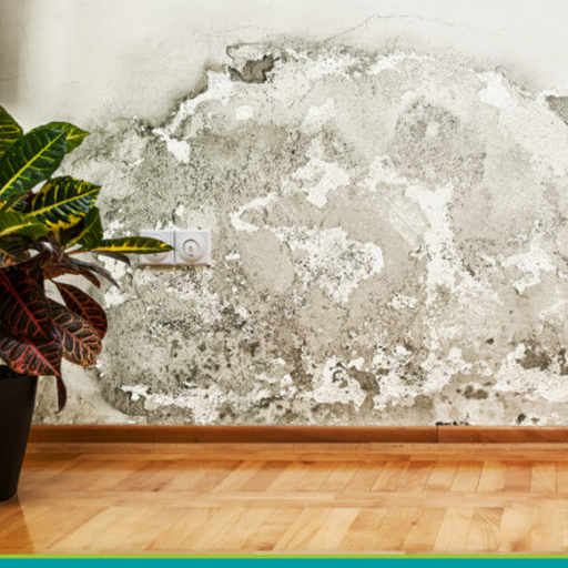 How to Dehumidify a Room Without a Dehumidifier: Top Ways to Reduce ...