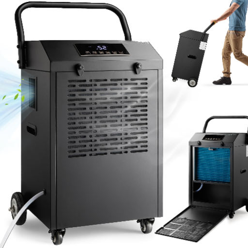 Top-Rated Commercial Dehumidifiers for 2024