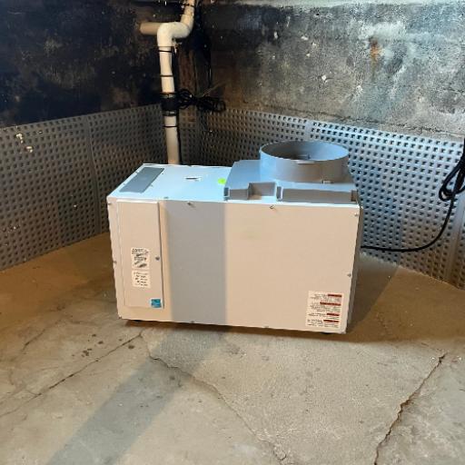 basement dehumidification