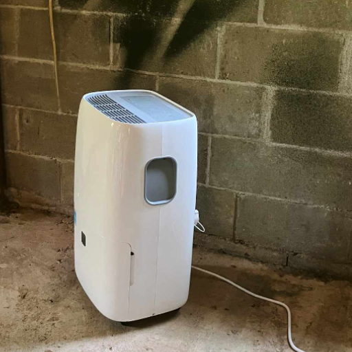 basement dehumidification