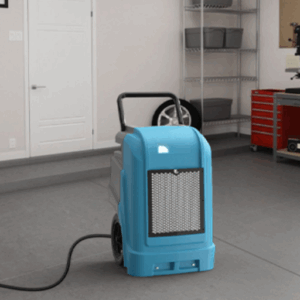 dehumidification services