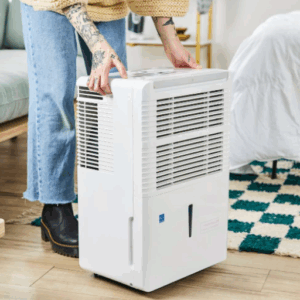 whole home dehumidifer
