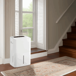 dehumidifer with pump
