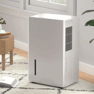 dehumidifer with pump