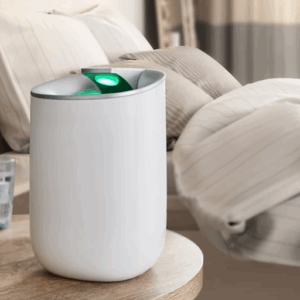 What Are the Common Misconceptions About Mold and Dehumidification?