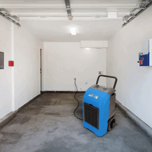 whole house dehumidifer