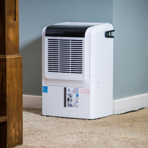 whole house dehumidifer