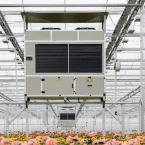 natural greenhouse dehumidification solutions