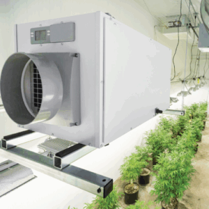grow room dehumidification