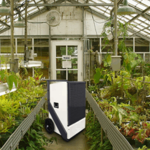 grow room dehumidification