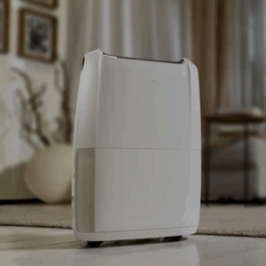 home dehumidification systems