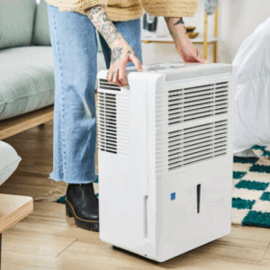 why dehumidifier