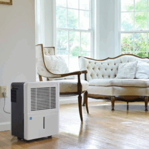 why dehumidifier