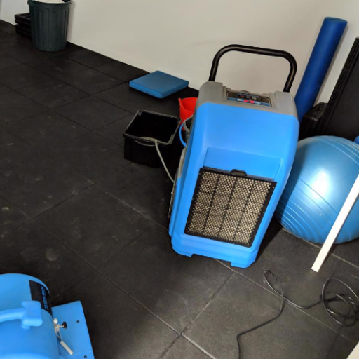 Best commercial dehumidifier for water damage restoration
