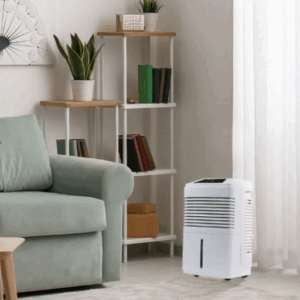 Dehumidifier not collecting water