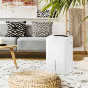 Dehumidifier not collecting water