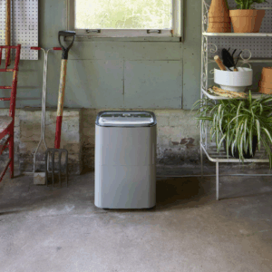 What size dehumidifier do I need?