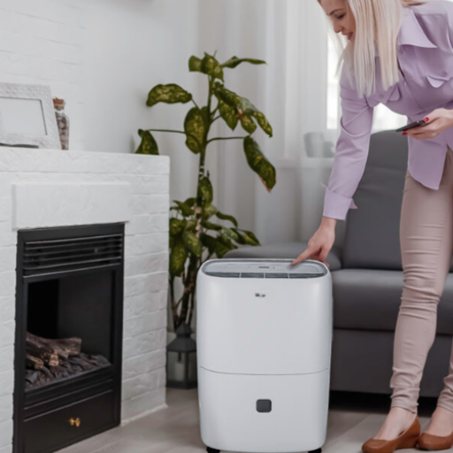 What size dehumidifier do I need?