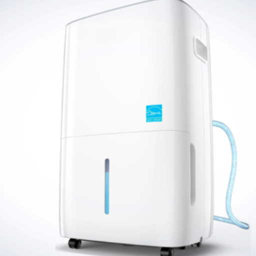 Dehumidifier reviews for 2024