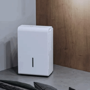 What are the Best Dehumidifiers of 2024?