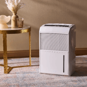 Where to place a dehumidifier in the home